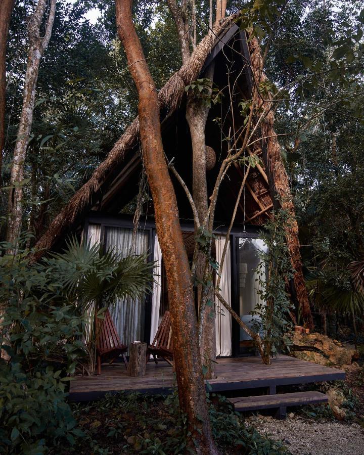 Kapok Bacalar - Plant Based Hotel New Translation Exteriér fotografie