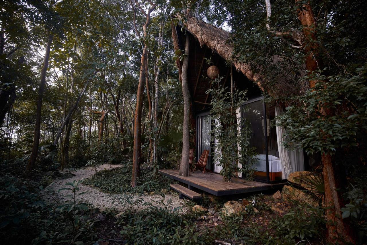 Kapok Bacalar - Plant Based Hotel New Translation Exteriér fotografie